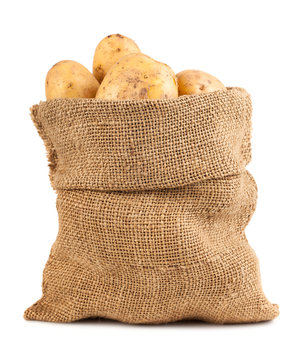 Ripe potatoes in burlap sack