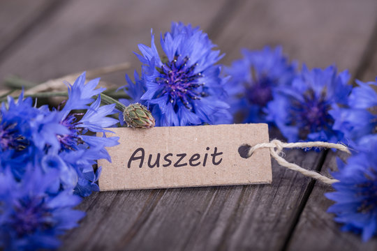 auszeit bl&uuml;ten