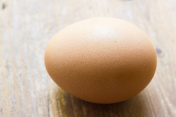 Egg