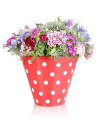 Beautiful bouquet in pail isolated on white