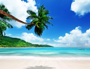 Crédence de cuisine en plexiglas Plage tropicale plage sur l& 39 île de Mahé aux Seychelles