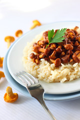 Risotto with chanterelles