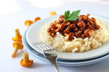 Risotto with chanterelles