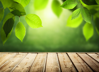 summer background with wooden surface