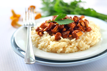 Risotto with chanterelles