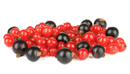 Currants isolated on white