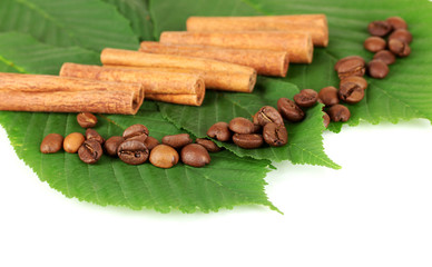 Coffee grains and cinnamon on sackcloth on green leafs close-up