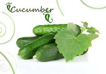 Tasty green cucumbers, isolated on white