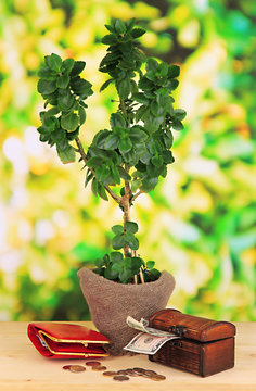 Money tree with money on wooden table on natural background