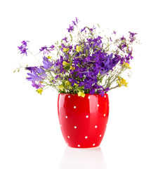 Beautiful bouquet of wildflowers in cup, isolated on white