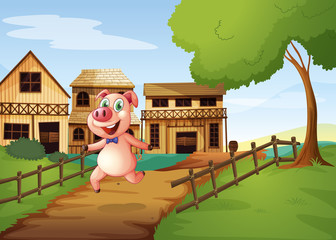 A pig running happily
