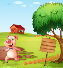 A pig in the farm near the empty signboard