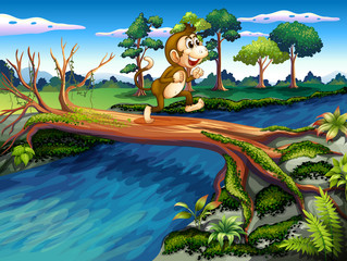 Obraz na płótnie Canvas A monkey crossing the river