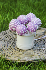 Lilac cake pops in white ceramic jar on wicker tray in fresh spr