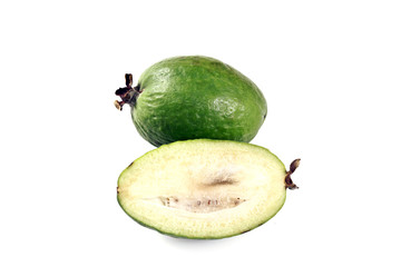Feijoa (Acca sellowiana)