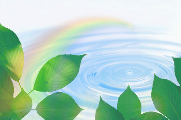 虹と葉と水滴