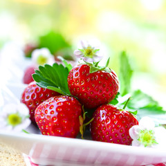 Reife Erdbeeren und Blüten