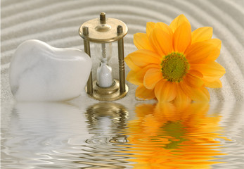 Sanduhr mit Herz und Blüte im Wasser