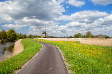 Fototapeta na wymiar way to windmill and blue sky, Alkmaar
