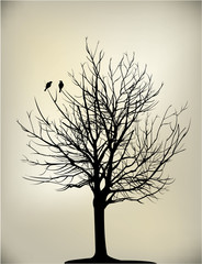 2 birds on tree