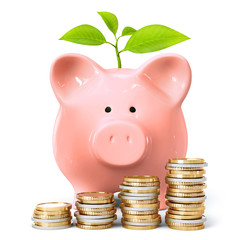 Piggy bank with plant and coin stacks