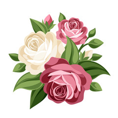 Pink and white vintage roses. Vector illustration.
