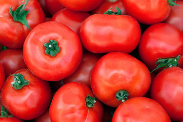 Tomatoes