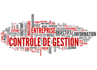 Contrôle de gestion (Controlling)