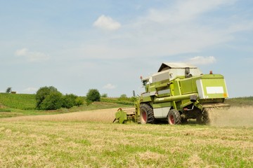 Combine harvester in the wheat field during harvesting
