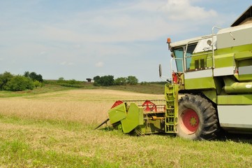 Combine harvester in the wheat field during harvesting