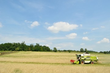 Combine harvester in the field during harvesting