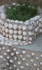 seashells as a decoration
