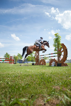 springreiten sportpferde