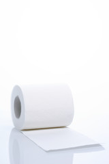 A Roll of Toilet Paper
