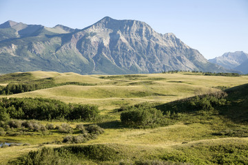 Fototapeta na wymiar Field view with mountain background in national park