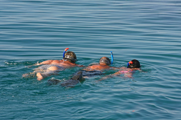 snorkeling in a turquoise tropical sea over Red Sea in Egypt