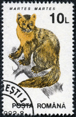 stamp printed in Romania shows Martes martes