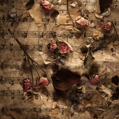 Old music notes with dry roses