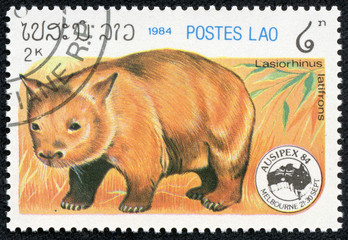 stamp printed in Laos showing raccoon