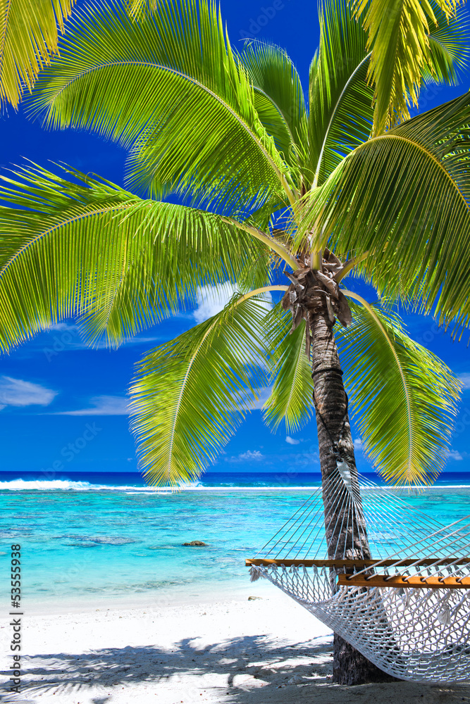 Wall mural empty hammock under palm tree on the beach