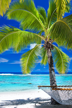 Empty Hammock Under Palm Tree On The Beach