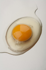 Organic egg yolk closeup