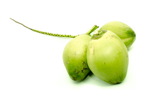 Fresh green coconuts
