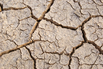 Dry Land