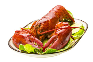 Large Lobster