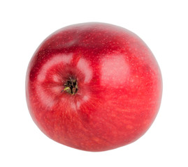 Single red apple