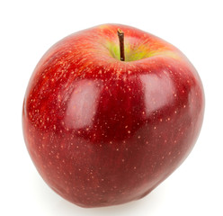 Single red apple
