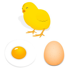 Chicken and Egg