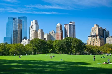 Foto auf Acrylglas Central Park Wiese - Central Park - New York