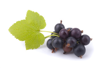 Black currant and green leaf on a white background.